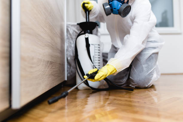 Best Emergency Pest Control  in Fairview, OK