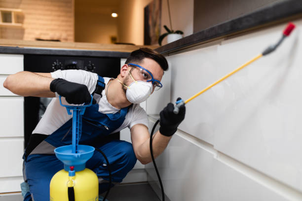 Best Termite Control Services  in Fairview, OK