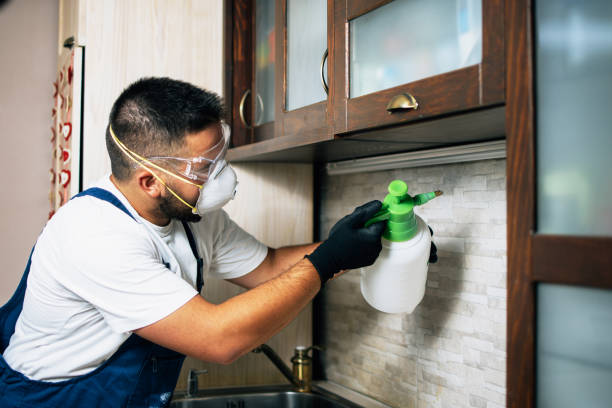  Fairview, OK Pest Control Pros