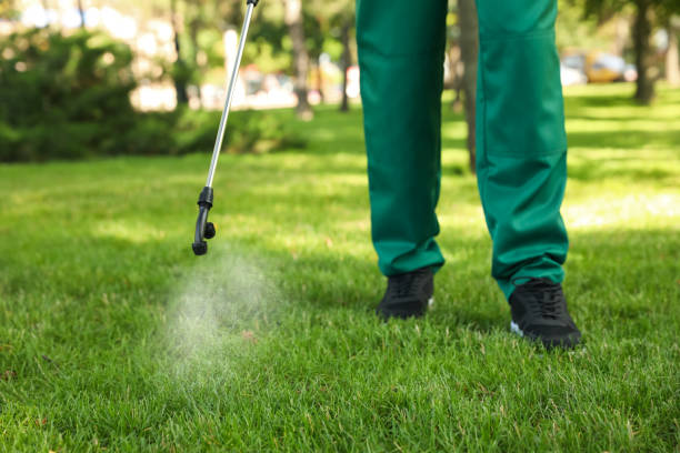 Best Exterminator Services  in Fairview, OK