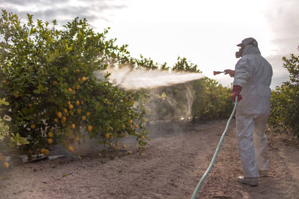 Best Pest Control Treatment  in Fairview, OK