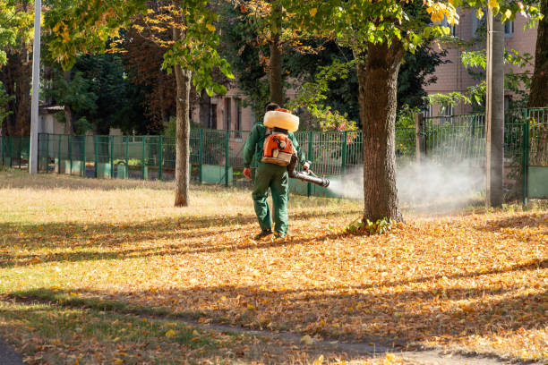 Best Pest Removal Services  in Fairview, OK